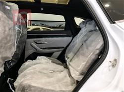 بي واي دي سونغ بلس